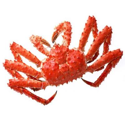 智利帝王蟹 熟冻 整只