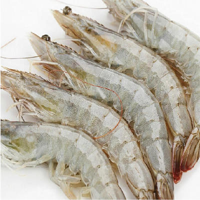南美白虾 生冻 带头
